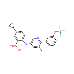 Cc1cc(Nc2ccc(C3CC3)cc2C(=O)O)cnc1-c1cccc(OC(F)(F)F)c1 ZINC000043203070