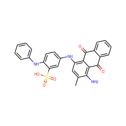 Cc1cc(Nc2ccc(Nc3ccccc3)c(S(=O)(=O)O)c2)c2c(c1N)C(=O)c1ccccc1C2=O ZINC000040424536