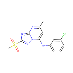 Cc1cc(Nc2cccc(Cl)c2)n2nc(S(C)(=O)=O)nc2n1 ZINC000073313038