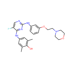 Cc1cc(Nc2nc(Nc3cccc(OCCN4CCOCC4)c3)ncc2F)cc(C)c1O ZINC000038480758