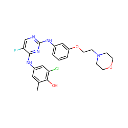 Cc1cc(Nc2nc(Nc3cccc(OCCN4CCOCC4)c3)ncc2F)cc(Cl)c1O ZINC000035834201