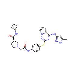 Cc1cc(Nc2nc(Sc3ccc(NC(=O)CN4CC[C@@H](C(=O)NC5CCC5)C4)cc3)nn3cccc23)n[nH]1 ZINC000095554049