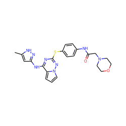 Cc1cc(Nc2nc(Sc3ccc(NC(=O)CN4CCOCC4)cc3)nn3cccc23)n[nH]1 ZINC000072180236