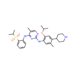 Cc1cc(Nc2ncc(C)c(Nc3ccccc3S(=O)(=O)C(C)C)n2)c(OC(C)C)cc1C1CCNCC1 ZINC000096272792