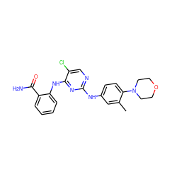 Cc1cc(Nc2ncc(Cl)c(Nc3ccccc3C(N)=O)n2)ccc1N1CCOCC1 ZINC000169322405