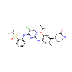 Cc1cc(Nc2ncc(Cl)c(Nc3ccccc3S(=O)(=O)C(C)C)n2)c(OC(C)C)cc1[C@@H]1CCNC(=O)C1 ZINC000096272790