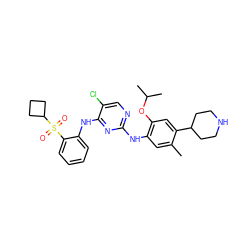 Cc1cc(Nc2ncc(Cl)c(Nc3ccccc3S(=O)(=O)C3CCC3)n2)c(OC(C)C)cc1C1CCNCC1 ZINC000096272796