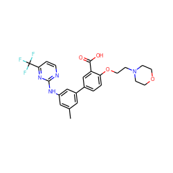 Cc1cc(Nc2nccc(C(F)(F)F)n2)cc(-c2ccc(OCCN3CCOCC3)c(C(=O)O)c2)c1 ZINC001772649286