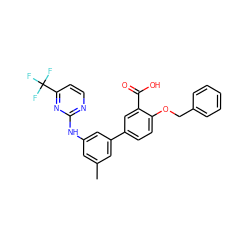 Cc1cc(Nc2nccc(C(F)(F)F)n2)cc(-c2ccc(OCc3ccccc3)c(C(=O)O)c2)c1 ZINC000145359576