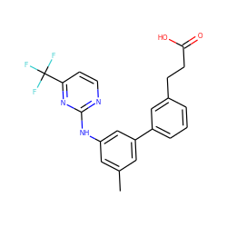 Cc1cc(Nc2nccc(C(F)(F)F)n2)cc(-c2cccc(CCC(=O)O)c2)c1 ZINC000211114880