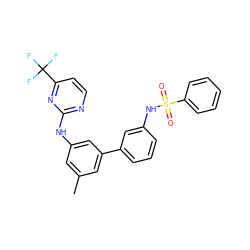 Cc1cc(Nc2nccc(C(F)(F)F)n2)cc(-c2cccc(NS(=O)(=O)c3ccccc3)c2)c1 ZINC001772615209