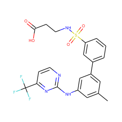 Cc1cc(Nc2nccc(C(F)(F)F)n2)cc(-c2cccc(S(=O)(=O)NCCC(=O)O)c2)c1 ZINC000211041841