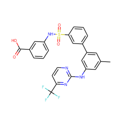 Cc1cc(Nc2nccc(C(F)(F)F)n2)cc(-c2cccc(S(=O)(=O)Nc3cccc(C(=O)O)c3)c2)c1 ZINC001772580185