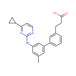 Cc1cc(Nc2nccc(C3CC3)n2)cc(-c2cccc(CCC(=O)O)c2)c1 ZINC000211036177