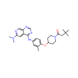 Cc1cc(Nc2ncnc3cnc(N(C)C)cc23)ccc1OC1CCN(C(=O)CC(C)(C)C)CC1 ZINC000028706374