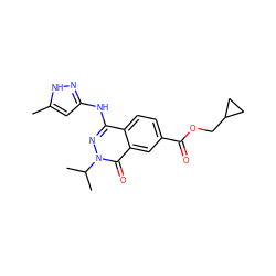 Cc1cc(Nc2nn(C(C)C)c(=O)c3cc(C(=O)OCC4CC4)ccc23)n[nH]1 ZINC000040406971