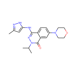 Cc1cc(Nc2nn(C(C)C)c(=O)c3cc(N4CCOCC4)ccc23)[nH]n1 ZINC000038208943