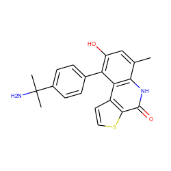 Cc1cc(O)c(-c2ccc(C(C)(C)N)cc2)c2c1[nH]c(=O)c1sccc12 ZINC000150299531