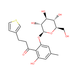 Cc1cc(O)c(C(=O)CCc2ccsc2)c(O[C@@H]2O[C@H](CO)[C@@H](O)[C@H](O)[C@H]2O)c1 ZINC000028384737