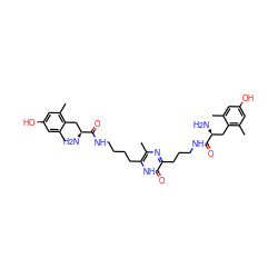 Cc1cc(O)cc(C)c1C[C@H](N)C(=O)NCCCCc1[nH]c(=O)c(CCCNC(=O)[C@@H](N)Cc2c(C)cc(O)cc2C)nc1C ZINC000036216381