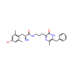 Cc1cc(O)cc(C)c1C[C@H](N)C(=O)NCCCc1nc(C)c(Cc2ccccc2)[nH]c1=O ZINC000028825454