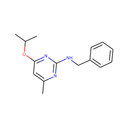 Cc1cc(OC(C)C)nc(NCc2ccccc2)n1 ZINC000000550392