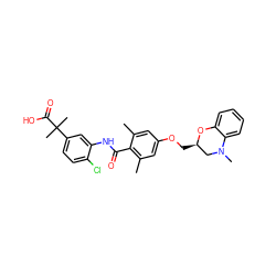 Cc1cc(OC[C@@H]2CN(C)c3ccccc3O2)cc(C)c1C(=O)Nc1cc(C(C)(C)C(=O)O)ccc1Cl ZINC000059649524