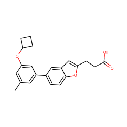 Cc1cc(OC2CCC2)cc(-c2ccc3oc(CCC(=O)O)cc3c2)c1 ZINC001772654510