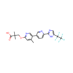 Cc1cc(OCC(C)(C)C(=O)O)ncc1-c1ccc(-c2ncc(C(F)(F)C(F)(F)F)[nH]2)nc1 ZINC000218860346