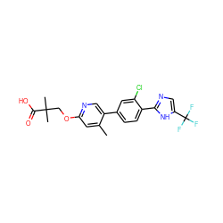 Cc1cc(OCC(C)(C)C(=O)O)ncc1-c1ccc(-c2ncc(C(F)(F)F)[nH]2)c(Cl)c1 ZINC000200829421