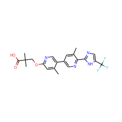 Cc1cc(OCC(C)(C)C(=O)O)ncc1-c1cnc(-c2ncc(C(F)(F)F)[nH]2)c(C)c1 ZINC000218551215