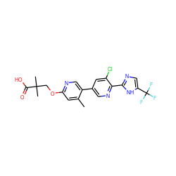 Cc1cc(OCC(C)(C)C(=O)O)ncc1-c1cnc(-c2ncc(C(F)(F)F)[nH]2)c(Cl)c1 ZINC000218559231