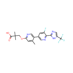 Cc1cc(OCC(C)(C)C(=O)O)ncc1-c1cnc(-c2ncc(C(F)(F)F)[nH]2)c(F)c1 ZINC000218559027