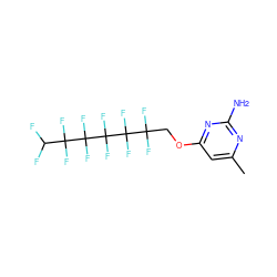 Cc1cc(OCC(F)(F)C(F)(F)C(F)(F)C(F)(F)C(F)(F)C(F)F)nc(N)n1 ZINC000008680593