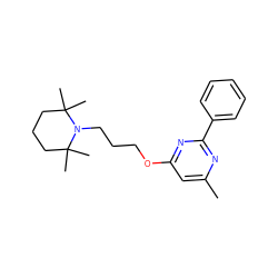 Cc1cc(OCCCN2C(C)(C)CCCC2(C)C)nc(-c2ccccc2)n1 ZINC000299821212