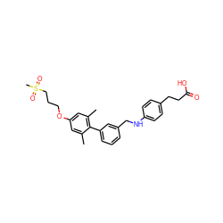 Cc1cc(OCCCS(C)(=O)=O)cc(C)c1-c1cccc(CNc2ccc(CCC(=O)O)cc2)c1 ZINC000095552196