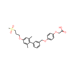 Cc1cc(OCCCS(C)(=O)=O)cc(C)c1-c1cccc(COc2ccc(OCC(=O)O)cc2)c1 ZINC000299837744