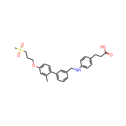 Cc1cc(OCCCS(C)(=O)=O)ccc1-c1cccc(CNc2ccc(CCC(=O)O)cc2)c1 ZINC000095552030