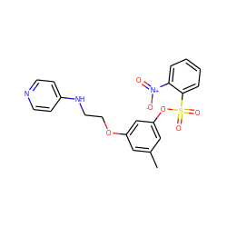 Cc1cc(OCCNc2ccncc2)cc(OS(=O)(=O)c2ccccc2[N+](=O)[O-])c1 ZINC000013494020