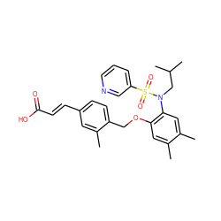 Cc1cc(OCc2ccc(/C=C/C(=O)O)cc2C)c(N(CC(C)C)S(=O)(=O)c2cccnc2)cc1C ZINC000001491637