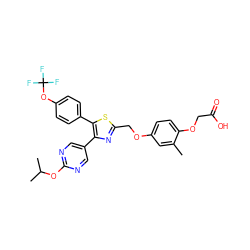 Cc1cc(OCc2nc(-c3cnc(OC(C)C)nc3)c(-c3ccc(OC(F)(F)F)cc3)s2)ccc1OCC(=O)O ZINC000049792614