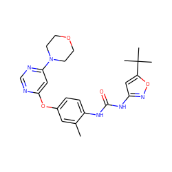 Cc1cc(Oc2cc(N3CCOCC3)ncn2)ccc1NC(=O)Nc1cc(C(C)(C)C)on1 ZINC001772614226