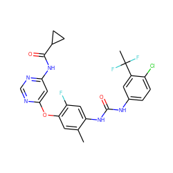 Cc1cc(Oc2cc(NC(=O)C3CC3)ncn2)c(F)cc1NC(=O)Nc1ccc(Cl)c(C(C)(F)F)c1 ZINC001772640096