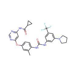 Cc1cc(Oc2cc(NC(=O)C3CC3)ncn2)ccc1NC(=O)Nc1cc(N2CCCC2)cc(C(F)(F)F)c1 ZINC001772619124