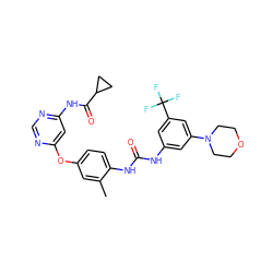 Cc1cc(Oc2cc(NC(=O)C3CC3)ncn2)ccc1NC(=O)Nc1cc(N2CCOCC2)cc(C(F)(F)F)c1 ZINC001772638984