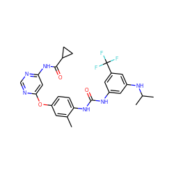 Cc1cc(Oc2cc(NC(=O)C3CC3)ncn2)ccc1NC(=O)Nc1cc(NC(C)C)cc(C(F)(F)F)c1 ZINC001772593744