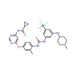 Cc1cc(Oc2cc(NC(=O)C3CC3)ncn2)ccc1NC(=O)Nc1cc(NC2CCN(C)CC2)cc(C(F)(F)F)c1 ZINC001772613711