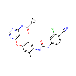 Cc1cc(Oc2cc(NC(=O)C3CC3)ncn2)ccc1NC(=O)Nc1ccc(C#N)c(Cl)c1 ZINC001772635416