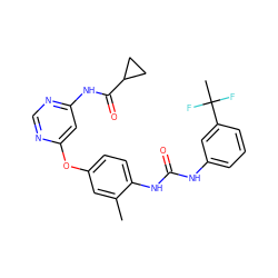 Cc1cc(Oc2cc(NC(=O)C3CC3)ncn2)ccc1NC(=O)Nc1cccc(C(C)(F)F)c1 ZINC001772652104