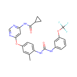 Cc1cc(Oc2cc(NC(=O)C3CC3)ncn2)ccc1NC(=O)Nc1cccc(OC(F)(F)F)c1 ZINC000206658298